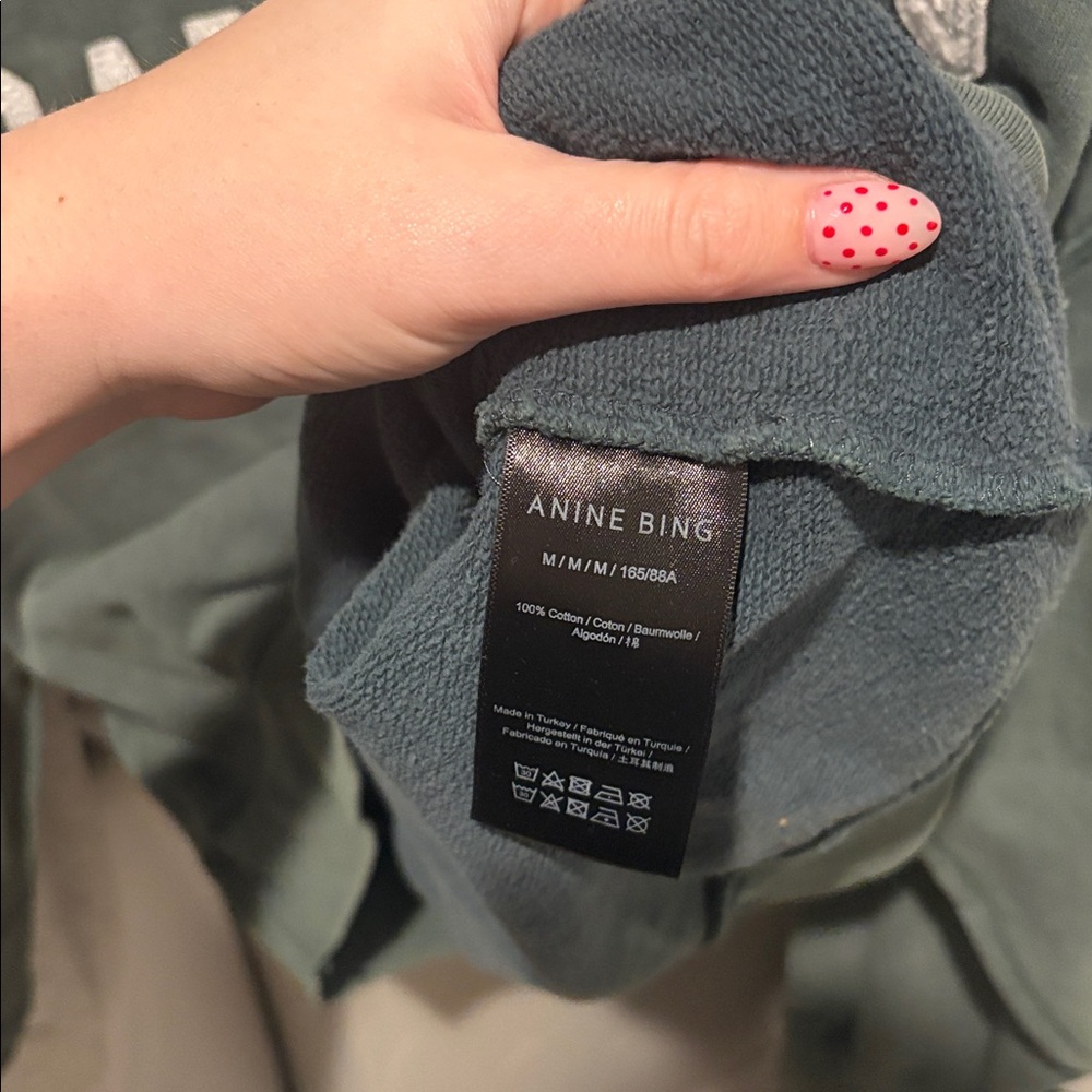 ANINE BING Oversized Crew Miles Sweatshirt Washed Sage Green Size Medium - Picture 5 of 7